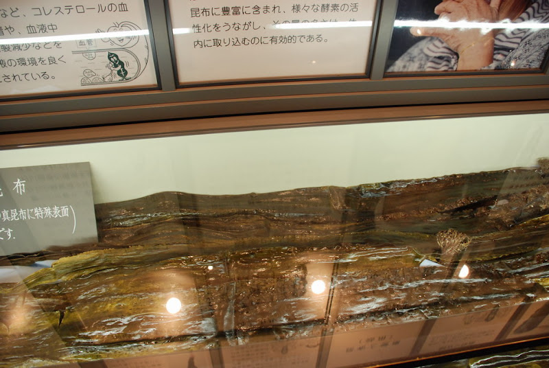 hokkaido_190.jpg