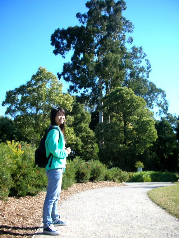 [DSCN434512.jpg]