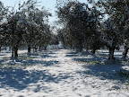 P1000925.JPG