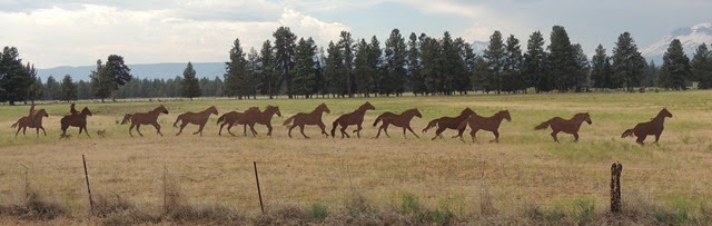 [120.Horse-sculptures4.jpg]