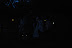 Monuments at Night - Walking Tour