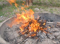 IMG_7748 IMG_7748