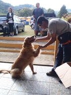 [Patas21454.jpg]