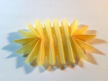 open-rosette open-rosette