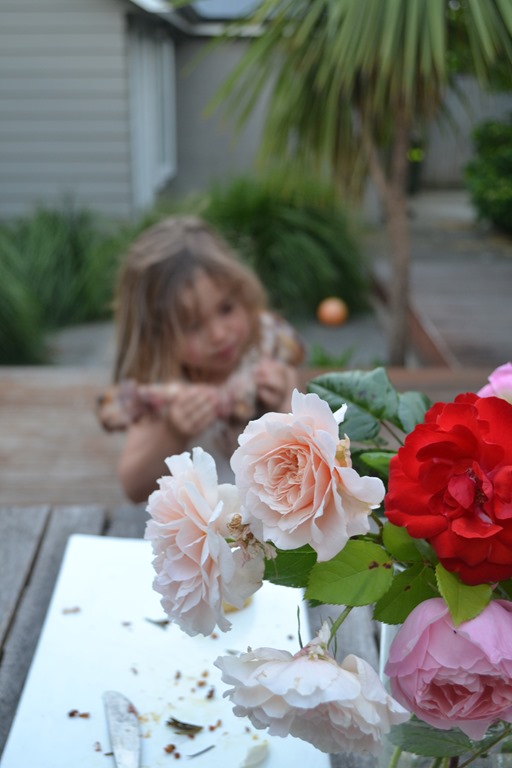 [DSC_0102%255B5%255D.jpg]