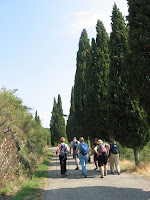 On the trail