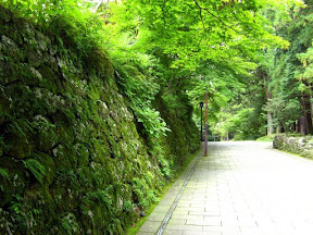 "Green" only begins to describe japanese mountains in august.
