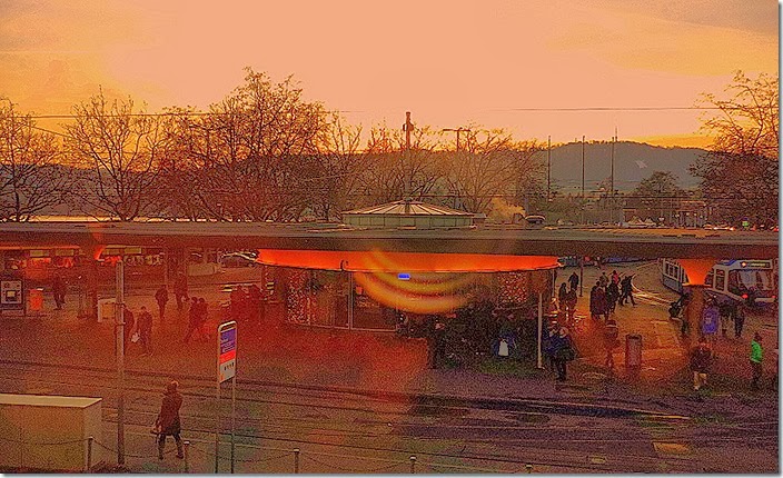 P1090226 P1090226