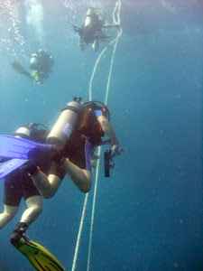 Hanging on the line