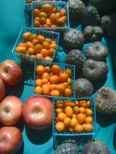 Apples, kumquats, and cherimoyas. Apples, kumquats, and cherimoyas.