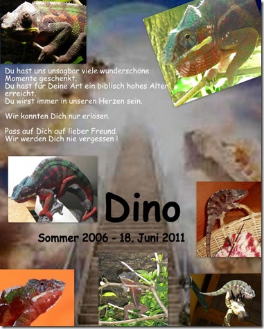 Dino Collage