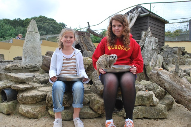 [DSC_0275%255B8%255D.jpg]