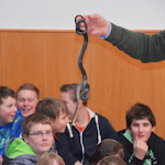 Schlangenschau_04.jpg