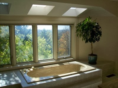 [Tub-with-a-View4.jpg]