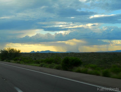 8. tucson Mts-kab