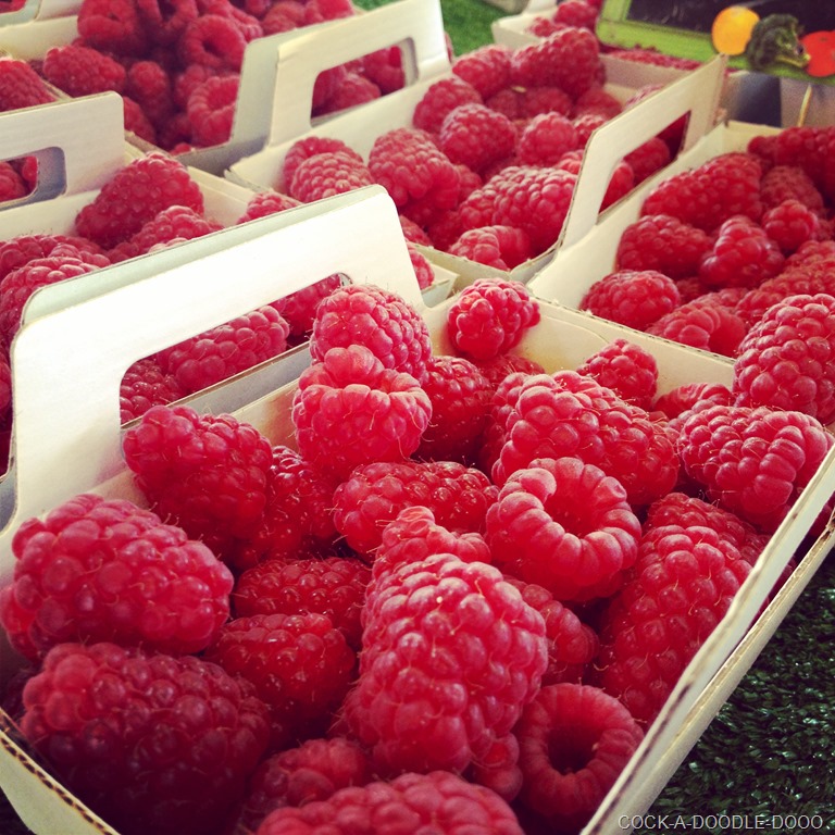 [IMG_1448%255B7%255D.jpg]