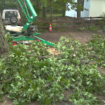 2012-08-06 19.55.30.jpg