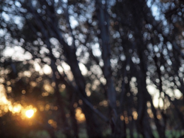[8.%2520morning%255B3%255D.jpg]