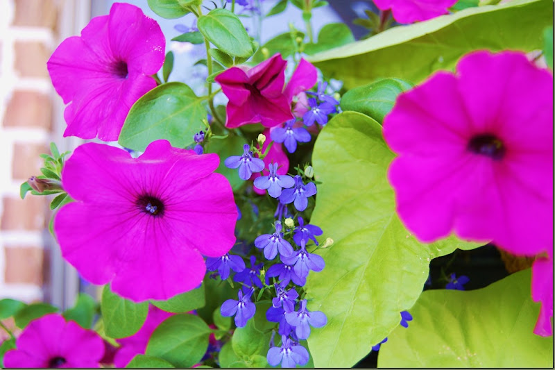 DSC_0019 DSC_0019