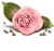 [50x47-roseTop-TR%255B2%255D.gif]
