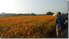 IMG_1154 IMG_1154