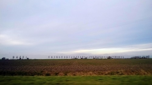 20170108 (2) (Large) 20170108 (2) (Large)