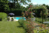 Piscine c.JPG