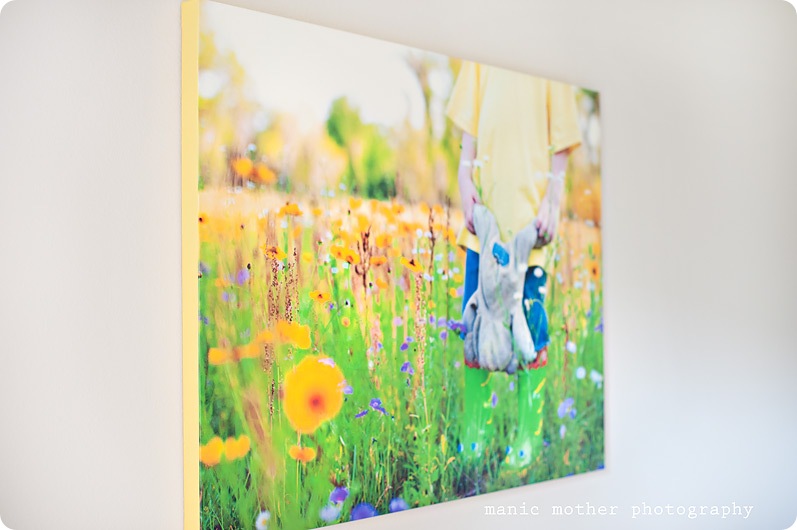 canvas2