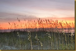 MB sunrise at Dunes