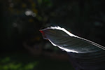 DSC_8586.jpg
