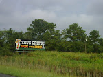 IMG00170-20090802-0954.jpg
