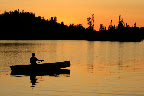 Canoeing in the shoals provincial park