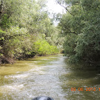DSCN7168.JPG