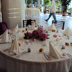 DSC00473.jpg