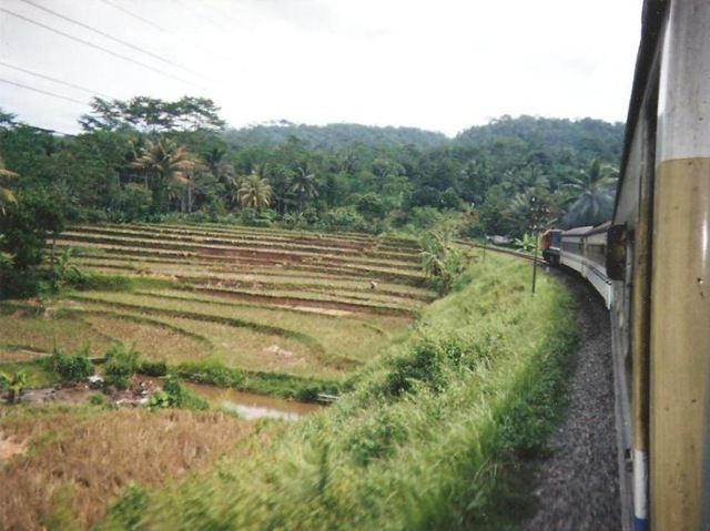 [indonesia163.jpg]