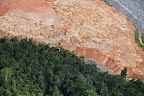 But indigenous and environmental groups, among others, counter that Belo Monte will displace tens of thousands of river-dwellers and bring violence, social chaos and environmental destruction – including deforestation – to the Amazon state of Pará.
Photograph: Daniel Beltrá/Greenpeace