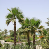 IMG_5075.JPG