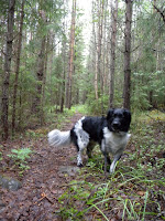 DSCN0382.JPG