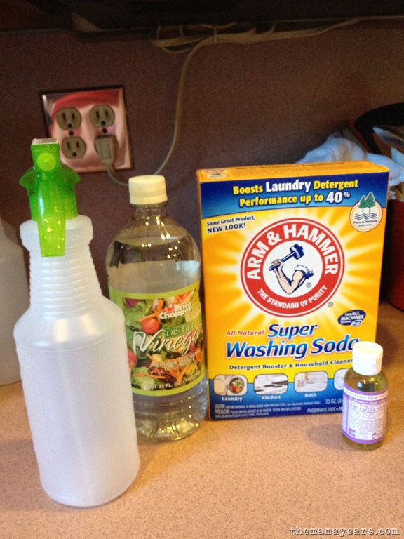 [homemade%2520cleaning%2520soln%25201%255B3%255D.jpg]