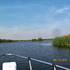 IMG_7989.JPG