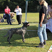IMG_2876.JPG