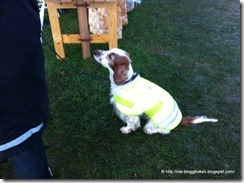 IMG_1718 IMG_1718