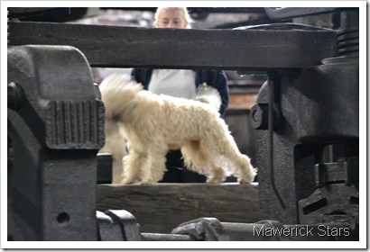 DSC_0512 DSC_0512