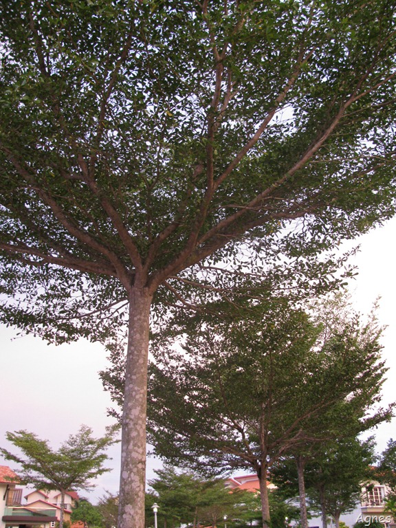 [IMG_78785.jpg]