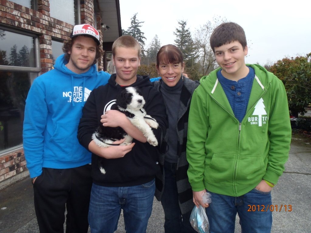 [dog%255B3%255D.jpg]