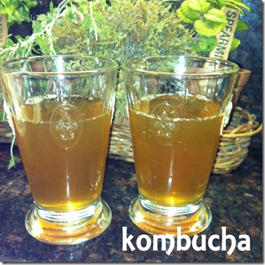 home brewed kombucha