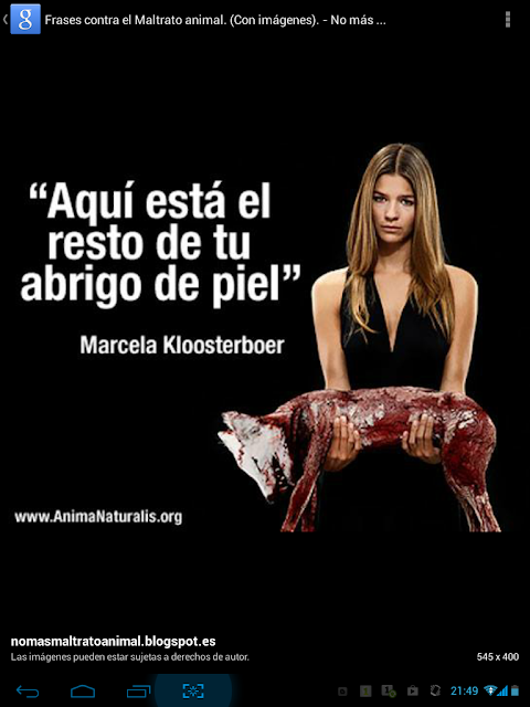 Sin Oficio Ni Beneficio No Al Maltrato Animal 
