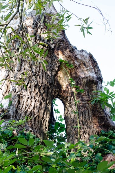 [DSC_0301%255B4%255D.jpg]