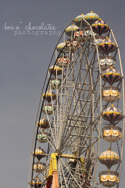 Ferris Wheel on the Tigre River2