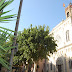 Campanar de Santa Maria